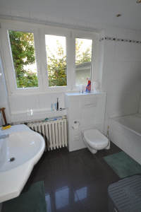 Bild8