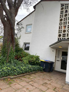 Bild3