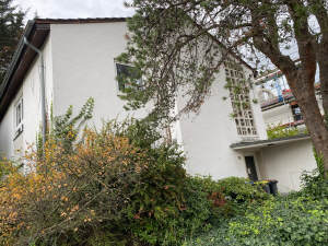 Köln-Rodenkirchen, 2 Zi.-ETW im 1. OG, großzügige Räume, schöner Balkon - 2- Köln Rodenkirchen | Angebot:27695061
